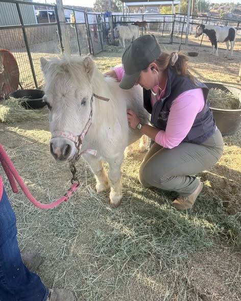 Community program hero